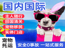 东郊空运代理国际宠物托运 【国